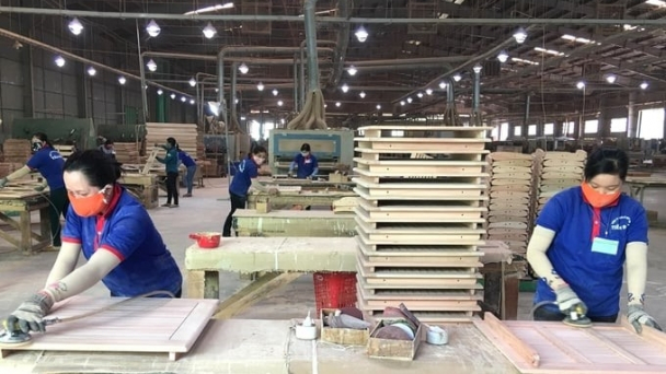 Binh Dinh's wood industry shows signs of recovery